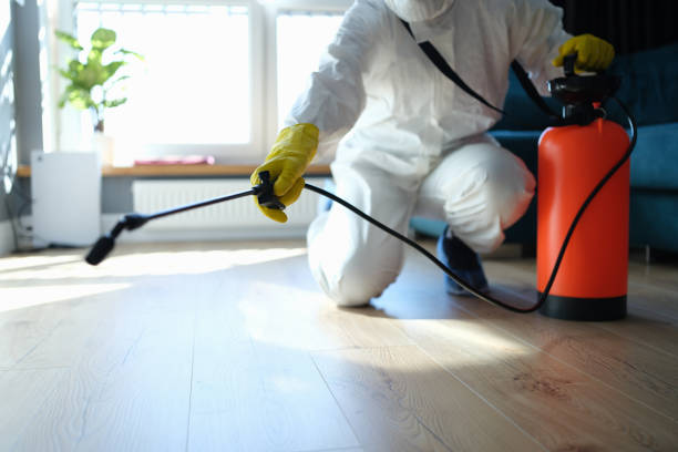 Reliable Biohazard Cleanup contractor in San Rafael, CA by Trauma Clean Pros